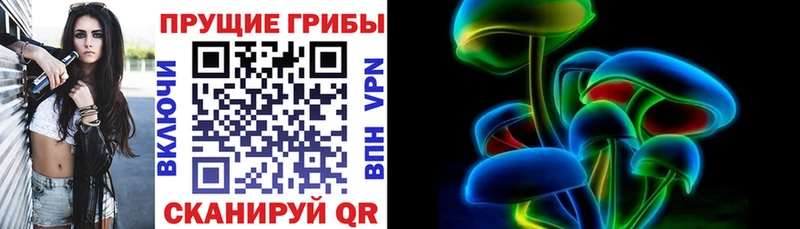 купить   даркнет состав  Галлюциногенные грибы Psilocybe  Невельск 